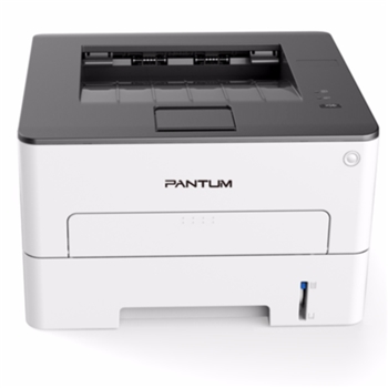奔图/PANTUM P3010D 激光打印机